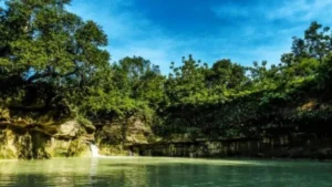 5 Surga Tersembunyi Alam Bojonegoro: Tiket & Jam Operasional