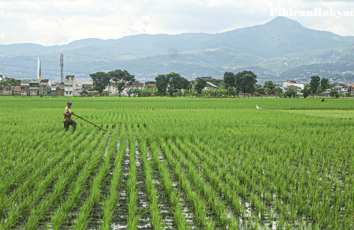 Dapatkan Bantuan Alat Pertanian? Cek Fakta Link Pendaftarannya!