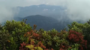 Gunung Rajah Pahang: 2 Rute Pendakian & 6 Fakta Menariknya
