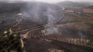 Kebakaran Hutan Israel: Bencana Alam Hanguskan Ribuan Hektar