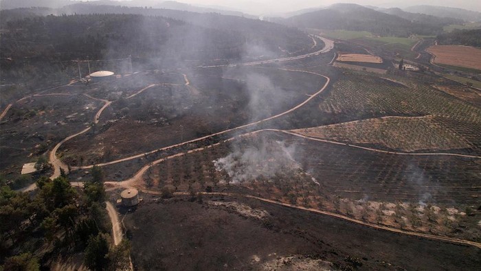 Kebakaran Hutan Israel: Bencana Alam Hanguskan Ribuan Hektar