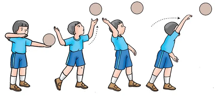 Kuasai Gerak Dasar Bola Voli: Panduan Lengkap Juara