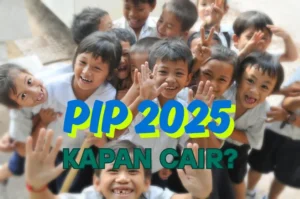 PIP 2025 Cair! Cek Penerima & Syaratnya Sekarang Juga