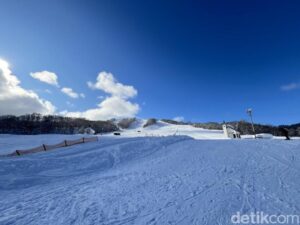 Petualangan Misterius: Spirit 'Wa' & Ski Kamoidake