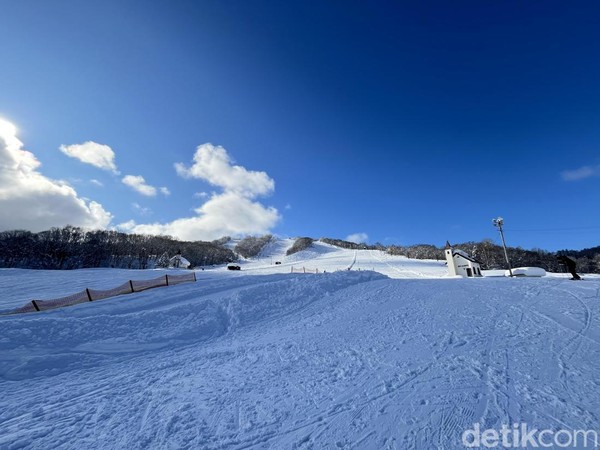 Petualangan Misterius: Spirit 'Wa' & Ski Kamoidake