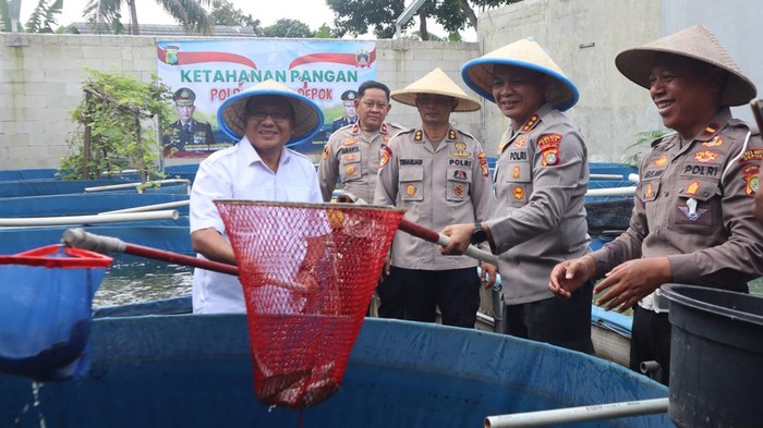 Polres Depok Sukses Panen Raya Lele: 2 Ton! Ketahanan Pangan Terwujud