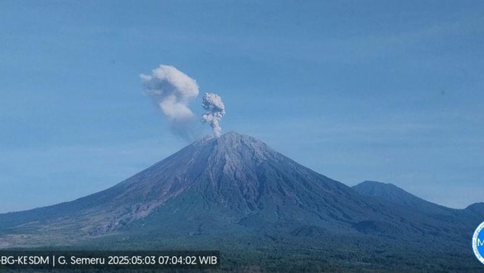 Semeru Erupsi Dahsyat! Tiga Kali Meletus, Kolom Abu 900 Meter
