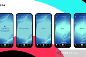 TikTok Rilis Fitur Meditasi: Tidur Nyenyak Tanpa Obat