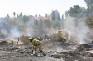 Video Viral Kebakaran Hutan Israel: Hoaks atau Fakta? Cek Sekarang!